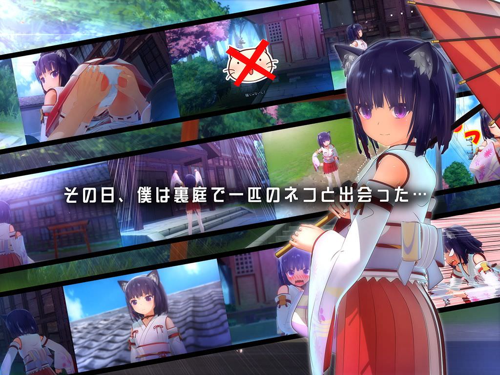 裏庭で一匹のネコと出会う